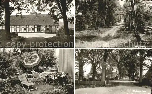 Sprakensehl Pension Meyer am Naturpark Suedheide Garten Waldweg Eichenallee Kat. Sprakensehl