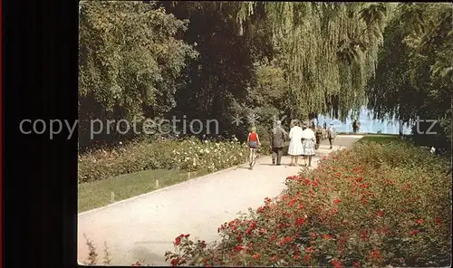 Eutin Promenade im Rosengarten Kat. Eutin