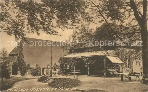 Eutin Forsthaus Wuestenfeld am Ukleisee Kat. Eutin