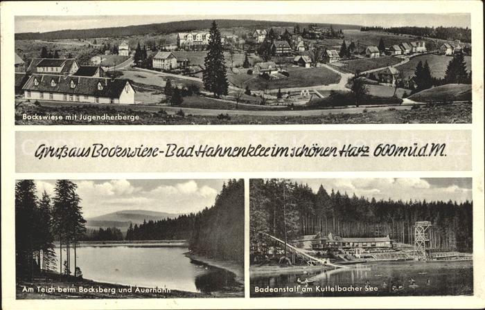 Hahnenklee Bockswiese Harz Bockswiese Jugendherberge Teich Bocksberg