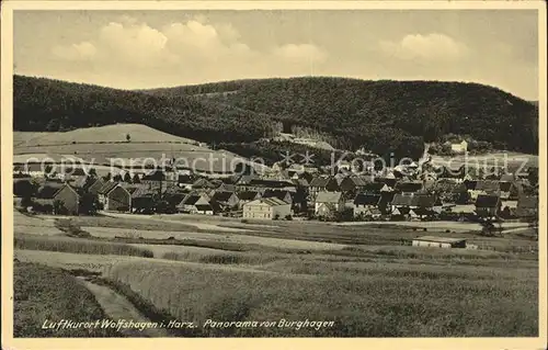 Wolfshagen Harz Panorama von Burghagen Luftkurort Kat. Langelsheim