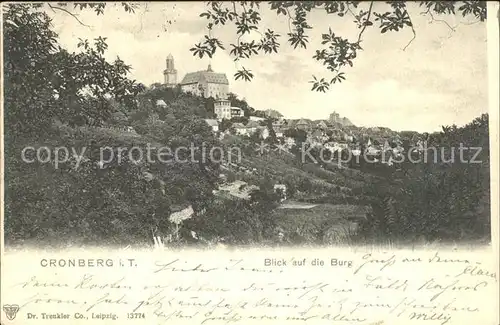 Kronberg Taunus mit Blick auf die Burg Kat. Kronberg im Taunus
