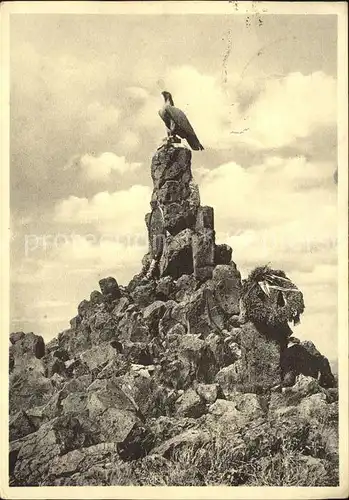 Abtsroda Fliegerdenkmal auf der Wasserkuppe Kat. Poppenhausen (Wasserkuppe)