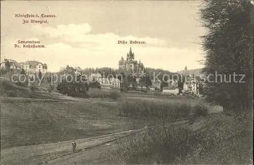 Koenigstein Taunus Sanatorium Dr.Kohnstamm u.Villa Adreae Kat. Koenigstein im Taunus