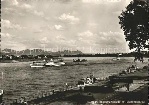 Dampfer Seitenrad Bonn Rheinpromenade Siebengebirge Kat. Schiffe