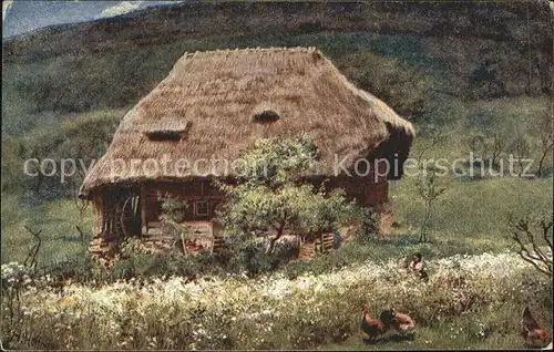 Hoffmann Heinrich Alte Muehle Schwarzwald Nr. 216  Kat. Kuenstlerkarte