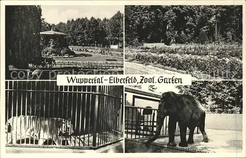 Elefant Tiger Zoologischer Garten Wuppertal Elberfeld  Kat. Tiere