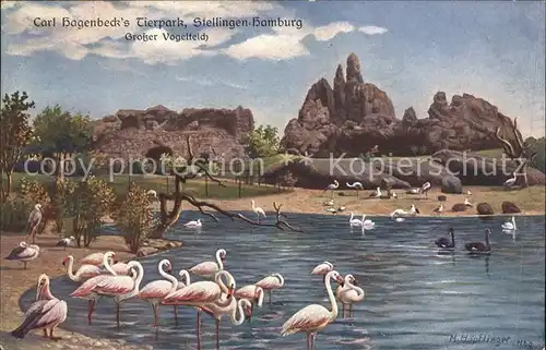 Hagenbeck Tierpark Stellingen Hamburg Vogelteich Flamingos Schwaene Kuenstlerkarte M. Hoepflinger  Kat. Tiere