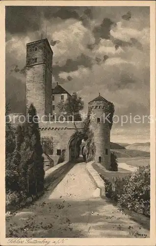 Kuenstlerkarte Schloss Guttenberg am Neckar Kuenstler H. Hoffmann Kat. Kuenstlerkarte
