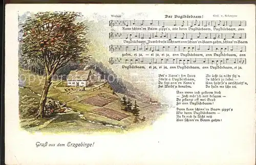 Liederkarte Dar Vuglbaerbaam Erzgebirge Ged.v. Schreyer  Kat. Musik