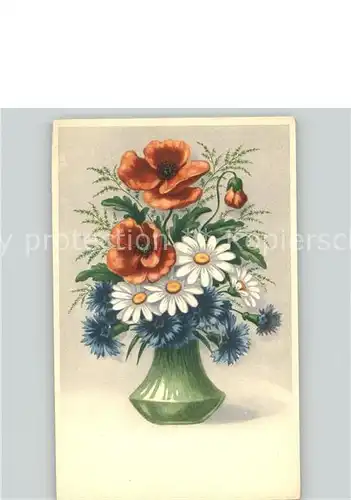 Blumen Vase Kat. Pflanzen