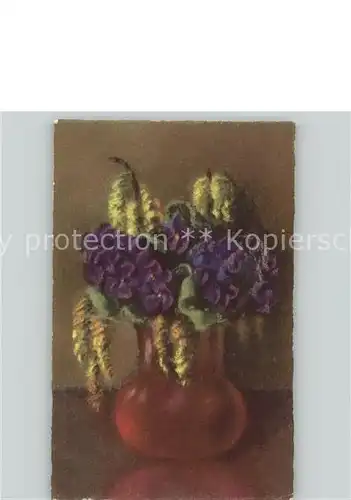 Blumen Vase Kat. Pflanzen