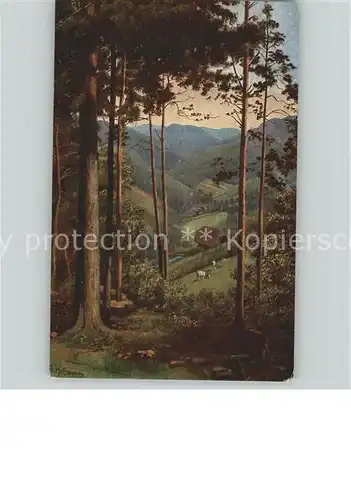 Hoffmann Heinrich Kuenstlerkarte Nr.186 Wald  Kat. Kuenstlerkarte