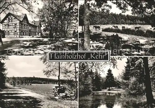 Goettingen Niedersachsen Hainberg Gaststaette Hainholzhof Kehr Goettinger Wald Pferde / Goettingen /Goettingen LKR