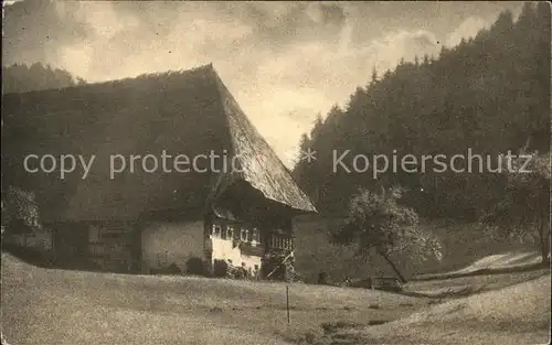 Triberg Schwarzwald Bauernhaus Kat. Triberg im Schwarzwald