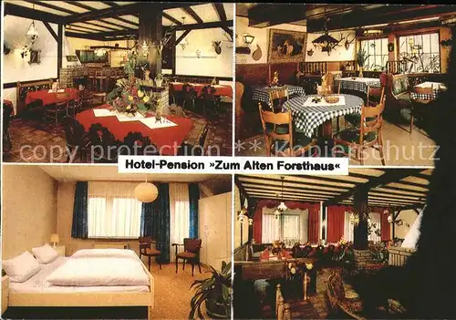 Reinhardswald Hotel Pension Zum alten Forsthaus Kat. Hofgeismar