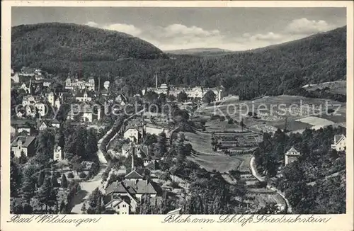 Bad Wildungen Blick vom Schloss Friedrichstein Kat. Bad Wildungen