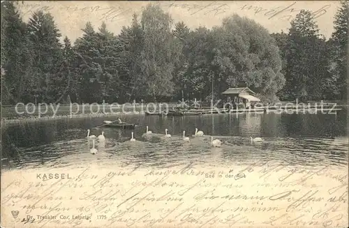 Kassel See in der Aue Schwaene Bootshaus Kat. Kassel