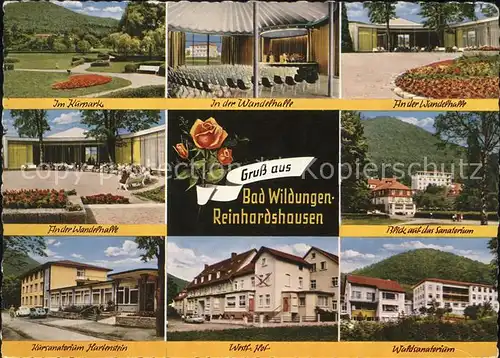 Reinhardshausen Kurpark Wandelhalle Sanatorium Hotel Westfalen Hof Rose Kat. Bad Wildungen