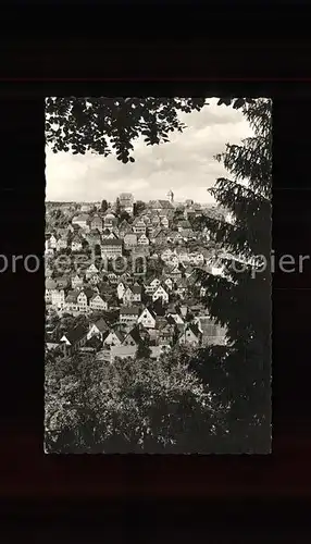 Altensteig Schwarzwald Total / Altensteig /Calw LKR