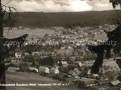 Baiersbronn Schwarzwald Panorama Kat. Baiersbronn