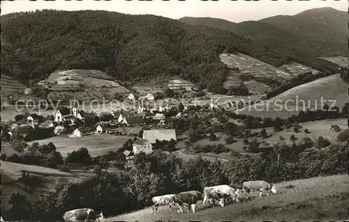 Glottertal Gesamtansicht Viehherde Kat. Glottertal