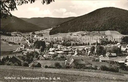 Mitteltal Schwarzwald Panorama Kat. Baiersbronn