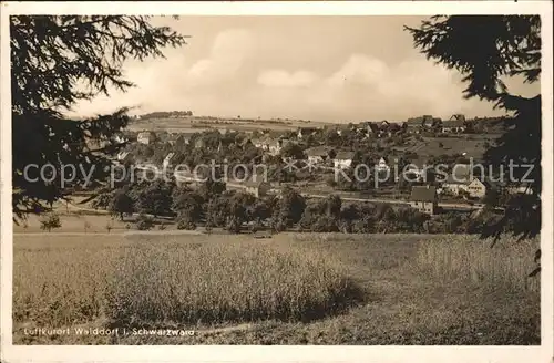 Walddorf Altensteig Panorama Kat. Altensteig