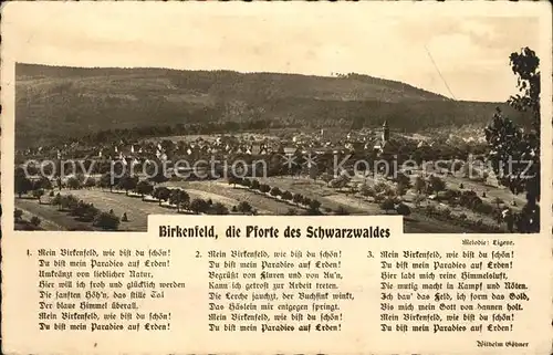 Birkenfeld Wuerttemberg Total Kat. Birkenfeld