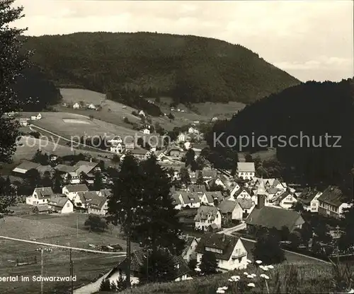 Buhlbach Obertal Ortsansicht / Baiersbronn /Freudenstadt LKR