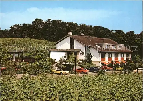 Bischoffingen Weinstube Steinbuck Gaestehaus Kat. Vogtsburg im Kaiserstuhl