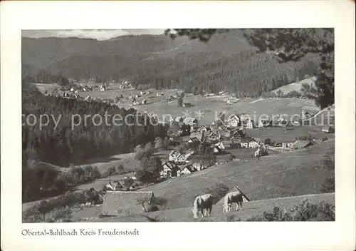 Buhlbach Obertal Total / Baiersbronn /Freudenstadt LKR