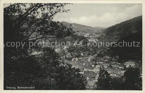 Triberg Schwarzwald Total Kat. Triberg im Schwarzwald