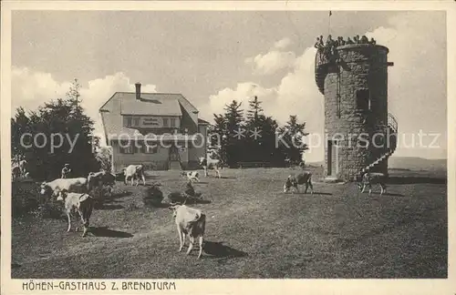 Furtwangen Hoehengasthaus Brendturm Kat. Furtwangen im Schwarzwald