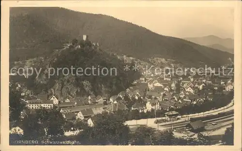 Hornberg Schwarzwald Panorama mit Burg Kat. Hornberg