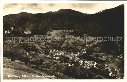 Hornberg Schwarzwald Total Kat. Hornberg