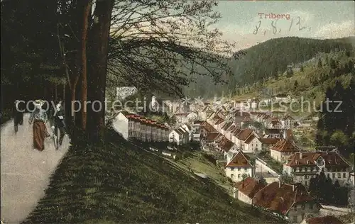 Triberg Schwarzwald Ortsansicht Kat. Triberg im Schwarzwald