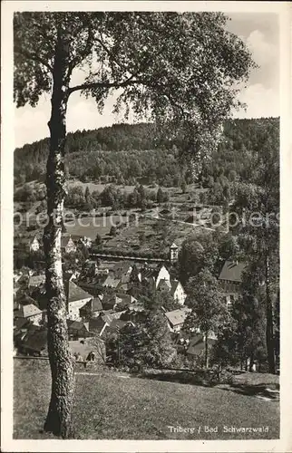 Triberg Schwarzwald Teilansicht Kat. Triberg im Schwarzwald