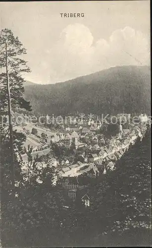 Triberg Schwarzwald Ortsansicht Kat. Triberg im Schwarzwald