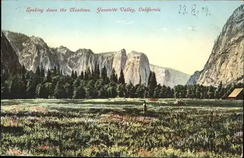 Yosemite Valley Meadows