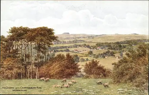 The Downs Cahntonbury Ring