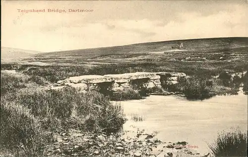 Dartmoor Teignhead Bridge