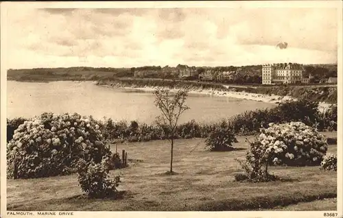 Falmouth Marine Drive