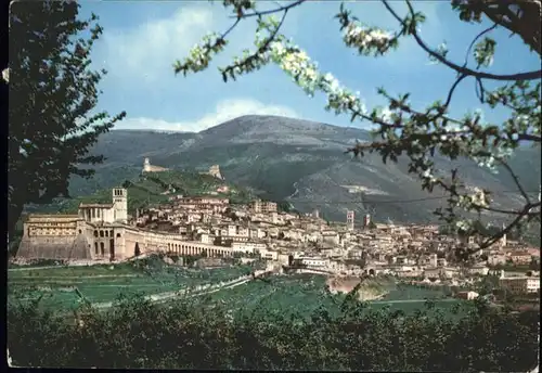 Assisi Umbria  / Assisi /