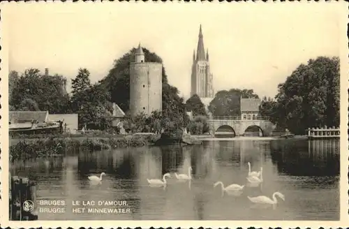 Bruges Flandre Het Minnewater Schwan  /  /