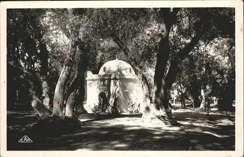 Blida Algerien Marabout Bois Sacre / Algerien /