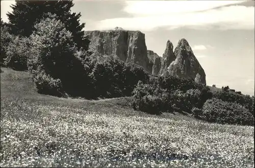 Lo Sciliar Alpe di Siusi Seiseralm Schlern / Italien /