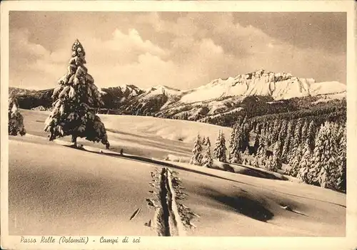 Passo Rolle Dolomiti Campi di sci / Italien /