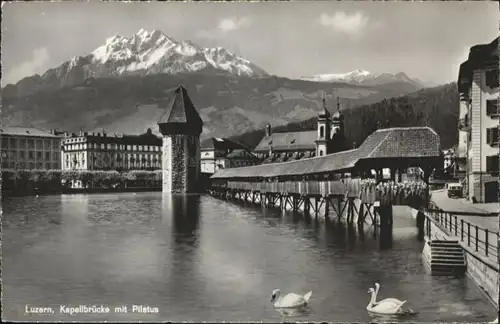 Luzern LU Luzern Kapellbruecke Pilatus Schwan * / Luzern /Bz. Luzern City