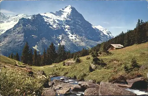 Grindelwald Grindelwald Firstgebiet Eiger x / Grindelwald /Bz. Interlaken